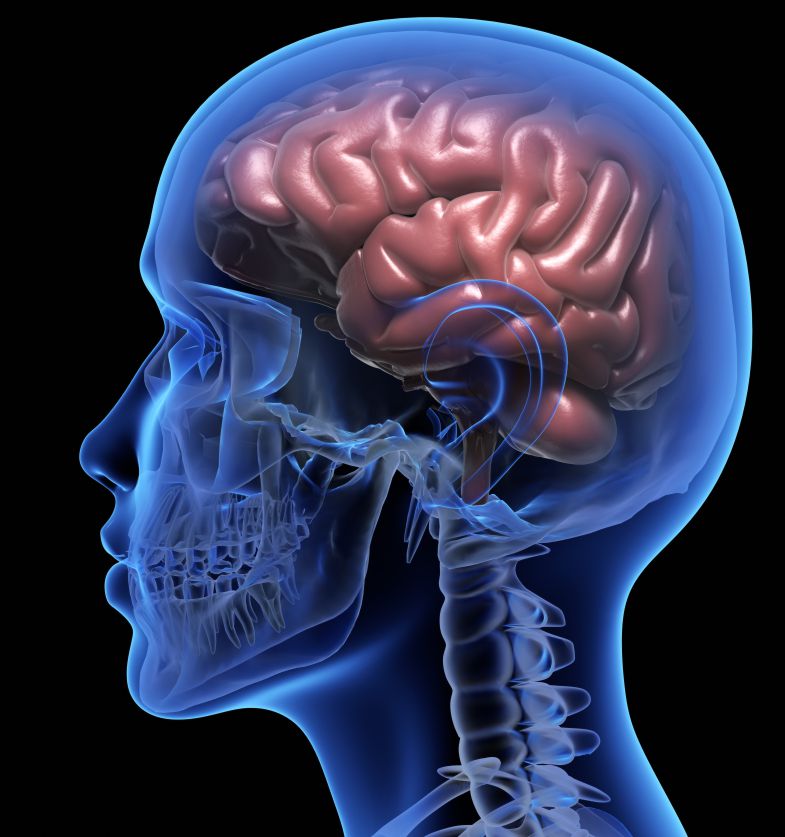 Neurologija